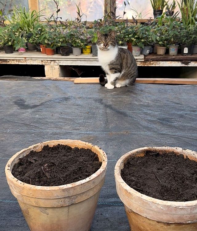 Behütet vom gesamten Zoo-Team können die Samen des Friedens nun aufgehen