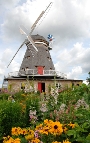 Die Neue Mahnkesche Mühle im Zoo Stralsund.jpg