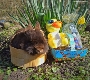 Ostern im Zoo 2023