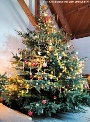 Festlich geschmückter Weihnachtsbaum im Nachbarschaftszentrum im Stadtteil Grünhufe